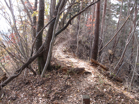20181126hike (160)